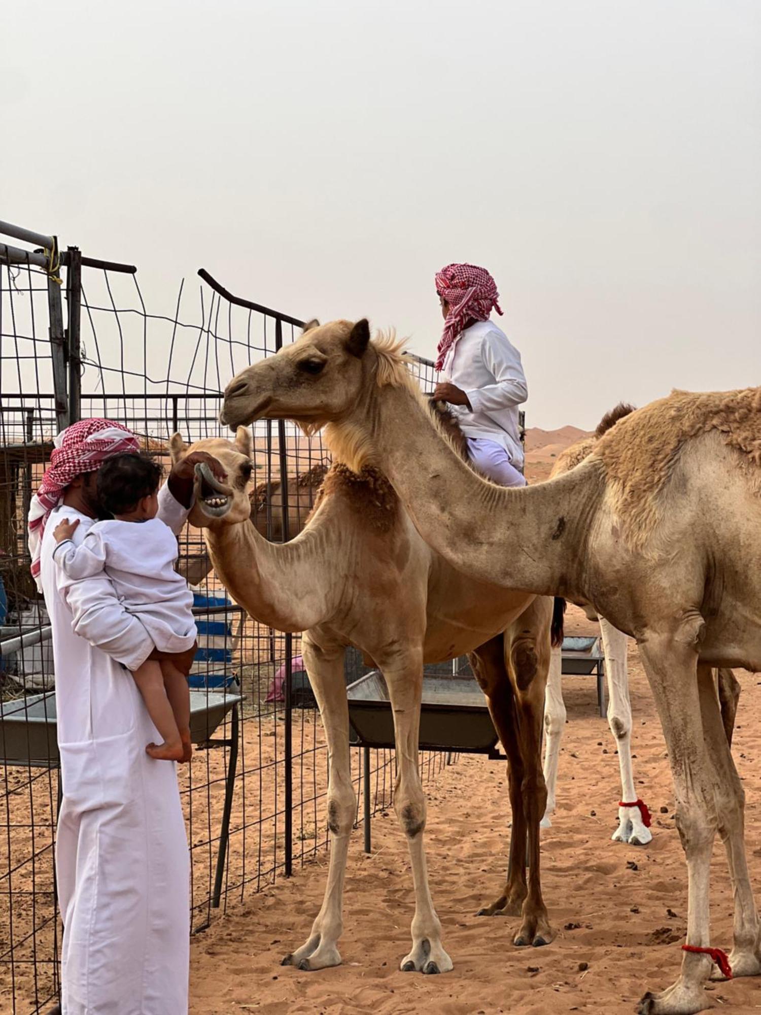 Private Bedouin Tent -Odpc Shahiq Exterior photo